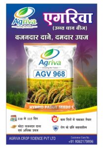 whatsapp image 2026 02 16 at 10.51.13 am