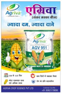 whatsapp image 2026 02 16 at 10.51.14 am (1)