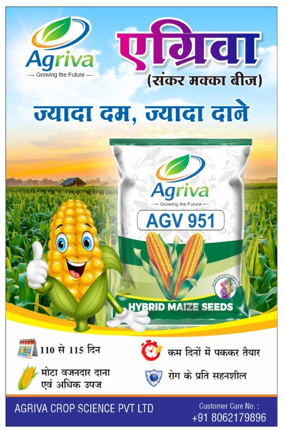 whatsapp image 2026 02 16 at 10.51.14 am (1)