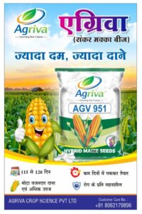 whatsapp image 2026 02 16 at 10.51.14 am (2)