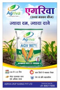 whatsapp image 2026 02 16 at 10.51.14 am