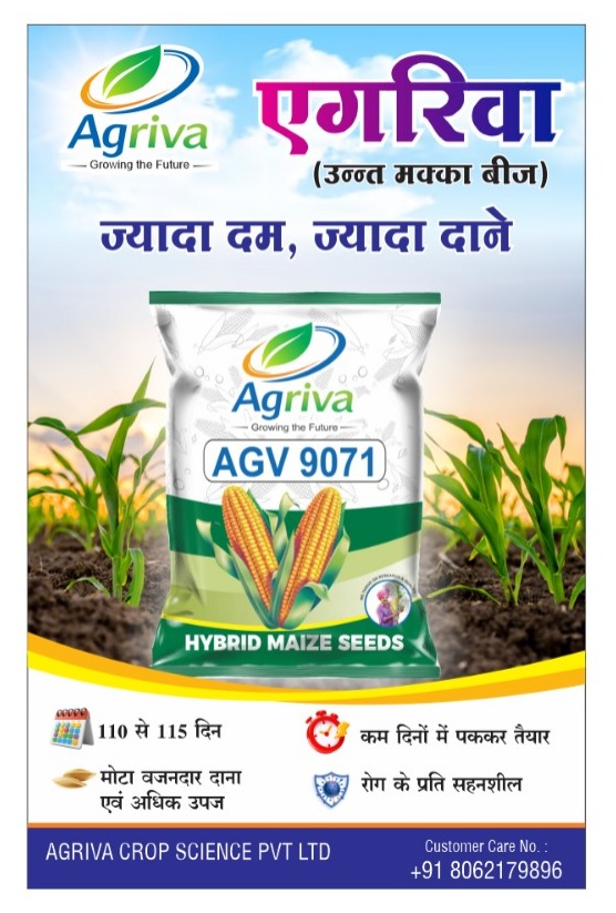 whatsapp image 2026 02 16 at 10.51.14 am