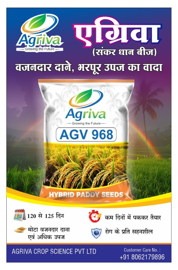 whatsapp image 2026 02 16 at 10.51.15 am