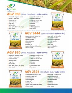 whatsapp image 2026 02 16 at 10.51.40 am