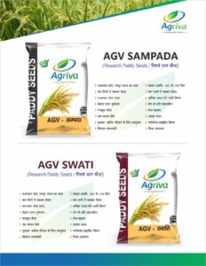 whatsapp image 2026 02 16 at 10.51.42 am (1)