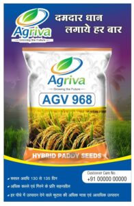 whatsapp image 2026 02 16 at 10.51.42 am (2)