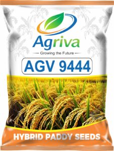 whatsapp image 2026 02 16 at 10.51.44 am (1)