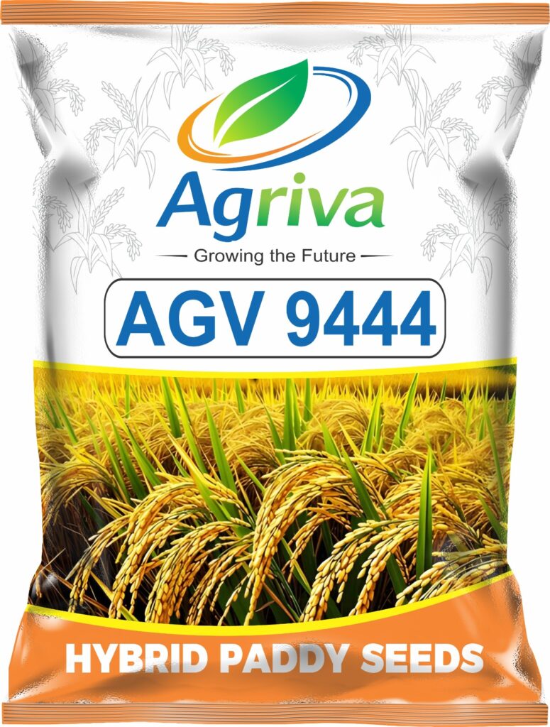 whatsapp image 2026 02 16 at 10.51.44 am (1)