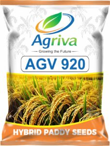 whatsapp image 2026 02 16 at 10.51.45 am